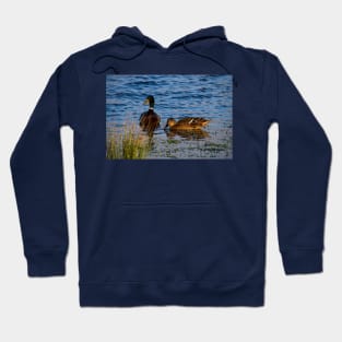 Two little ducks Hoodie